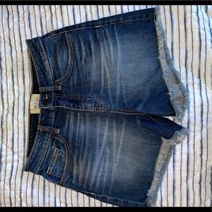 BKE High waisted shorts